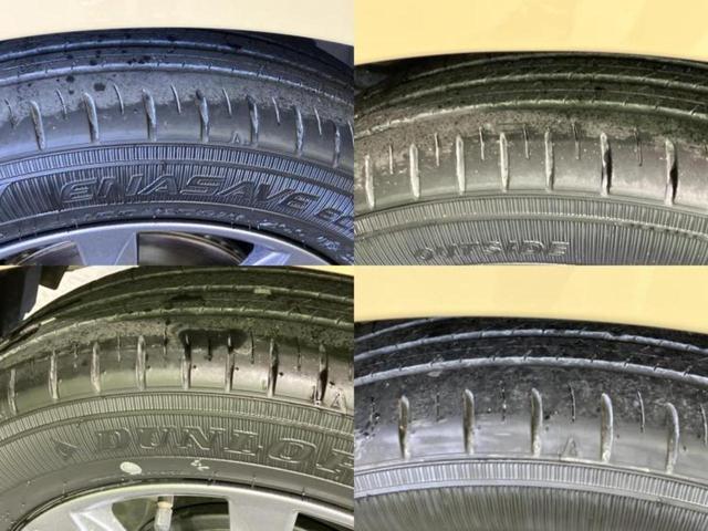 �u���̎Ԃ̎ʐ^�������ƌ������v�u��Ԃ��C�ɂȂ�v�u���̑����͂��Ă���H�v�ǂ�ȏ����ȋ^��ł����C�y�ɂ��₢���킹���������I