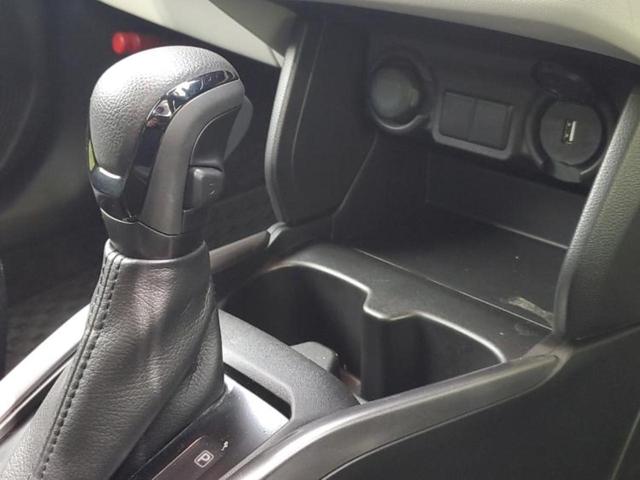 �u���̎Ԃ̎ʐ^�������ƌ������v�u��Ԃ��C�ɂȂ�v�u���̑����͂��Ă���H�v�ǂ�ȏ����ȋ^��ł����C�y�ɂ��₢���킹���������I