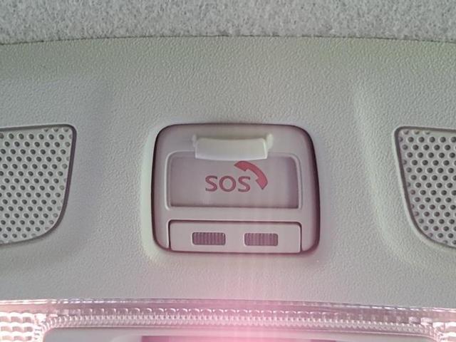 �i�r�A�h�����R�A�d�s�b�A�t���b�v�_�E�����j�^�[�A�f�W�^���C���i�[�~���[�������c��t���\�ł��I�I�v�V�������L�x�Ɏ�葵���Ă���܂��̂ł����S���������I