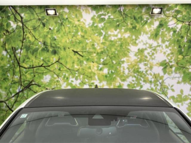 �v�d�b�`�q�r�i�E�B�[�J�[�Y�j�͑S���Q�T�O�X�ܓW�J�I��Ƃ̓s����A�ԗ������������Ȃ��ꍇ���������܂��B���X�O�ɂ��⍇��������