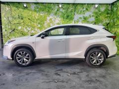 �ףţã��ңӤκ߸˥ڡ������������������ˤ��꤬�Ȥ��������ޤ����ףţã��ңӤϡ֤��������פ��åȡ��ˤ����ͤΥ����饤�դ����Ϥǥ��ݡ��Ȥ������ޤ��� 2