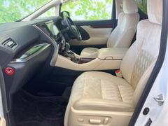 �ףţã��ңӤǤϳƾ����ʤ��緿��˥������Ѱդ��Ƥ���ޤ������䤹������̤Ǥ�ä��������κ߸ˤ������������ޤ���������Ź���Ԥ����Ƥ���ޤ��� 7