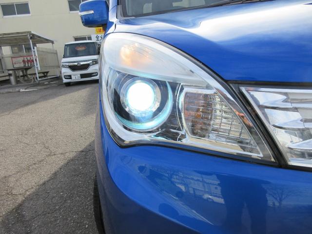 ���g�h�c�w�b�h���C�g��