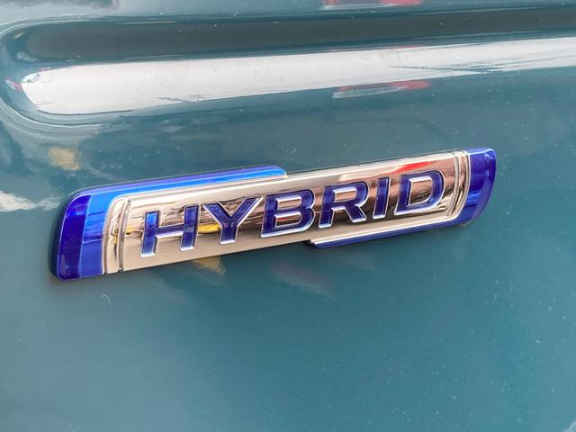 HYBRID G オートライト 前後衝突被害軽減ブレーキ(51枚目)