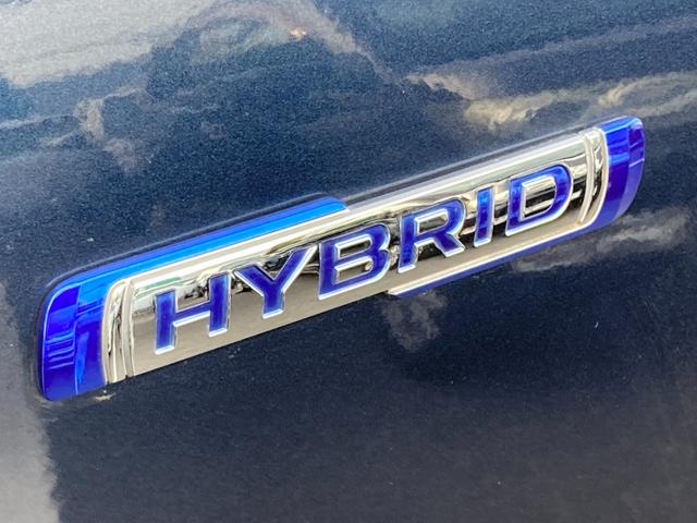 ＨＹＢＲＩＤ　Ｘ　ヒョウ害　ＬＥＤライト　初夏特選　スズキセーフティサポート　クリアランスソナー　両側電動スライドドア　オーディオレス　ＬＥＤヘッドライト　オートライト　オートマチックハイビーム　ＵＳＢ接続　プッシュスタート　オーディオレス(7枚目)