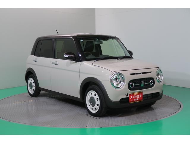 アルトラパンＬＣ ＬＣ　Ｘ　５型　ヒョウ災　フライングサンタクロースダァーッ！　雹災車　オーディオレス　デュアルカメラブレーキサポート　アイドリングストップ　オートライト　プッシュスタート　シートヒーター　オートエアコン　スズキセーフティーサポート　衝突被害軽減システム（47枚目）