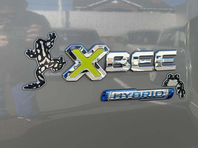 �����X���܂����Ă���܂��B