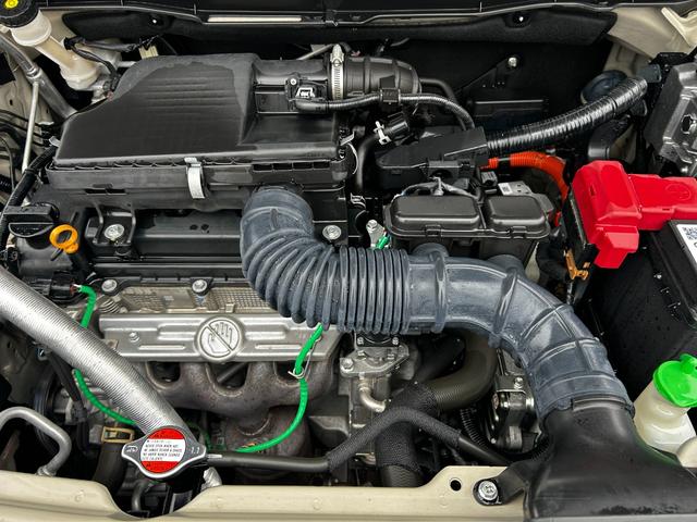 �i���j�X�Y�L���s�I�@�X�Y�L�A���[�i�@�C�I�����[�����ΓX�ł��B���̓x�͐�����̔��X�̒����瓖�X���������������A���ɂ��肪�Ƃ��������܂��I