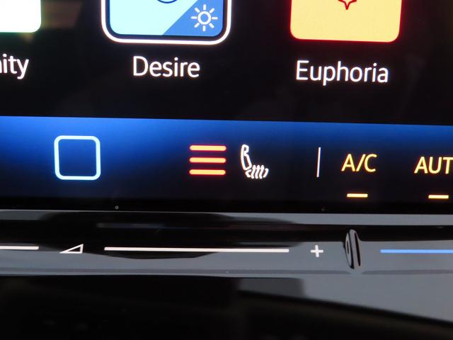 ゴルフ TDIスタイル NAVI TechPK(29枚目)