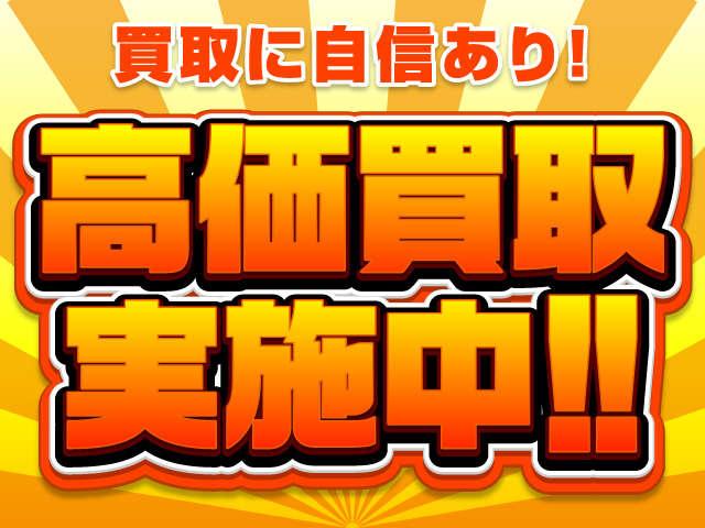 ヴォーグ　天井張替済　エンジンオイル漏無し！プラグ＆コイル、ＡＴクーラーシール、ＶＶＣソレノイドシール、Ｔギアシール、ロールバーリンク、Ｆエアサス＆コンプレッサー、ＷＴポンプ、Ｒローター、燃料ポンプ交換済(49枚目)