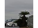 RENAULT LUTECIA