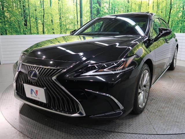 ES ES300h バージョンL ムーンルーフ 12.3型メーカーSDナビ パノラミックビューモニター プレミアムサウンド セーフティシステムプラス 禁煙車 黒革 全席シートヒーター パワーシート 3眼LED ETC2.(43枚目)