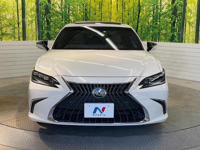 ES ES300h バージョンL 後期 マークレビンソン リアスポイラー 茶革 3席独立温度調整オートエアコン 全席シートヒーター 純正18インチアルミ 3眼LED ハンズフリーパワートランクリッド ウッドコンビステアリング(14枚目)