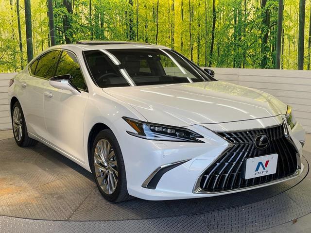 ES ES300h バージョンL 後期 マークレビンソン リアスポイラー 茶革 3席独立温度調整オートエアコン 全席シートヒーター 純正18インチアルミ 3眼LED ハンズフリーパワートランクリッド ウッドコンビステアリング(16枚目)