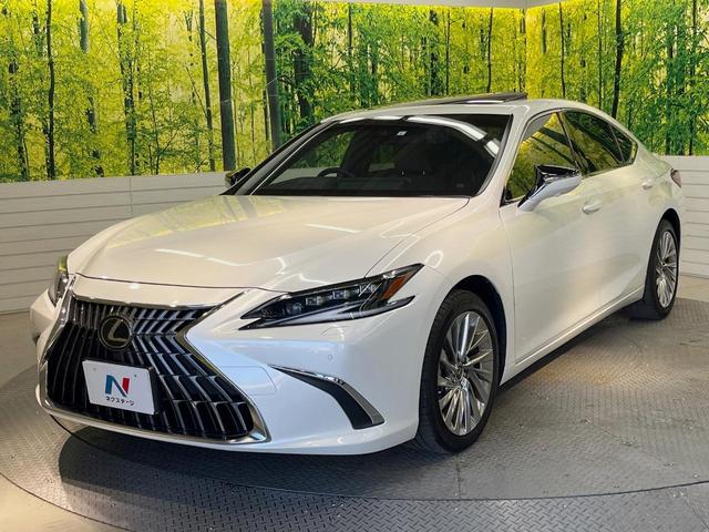 ES ES300h バージョンL 後期 マークレビンソン リアスポイラー 茶革 3席独立温度調整オートエアコン 全席シートヒーター 純正18インチアルミ 3眼LED ハンズフリーパワートランクリッド ウッドコンビステアリング(55枚目)