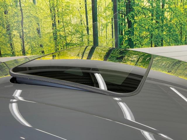 ＲＣ ＲＣ３００ｈ　Ｆスポーツ　黒革　ムーンルーフ　角型３眼フルＬＥＤヘッドランプ　ムーンルーフ　オレンジキャリパー　メーカーＳＤナビ　バックカメラ　プリクラッシュセーフティー　レーダークルーズ　禁煙車　シートベンチレーション（32枚目）