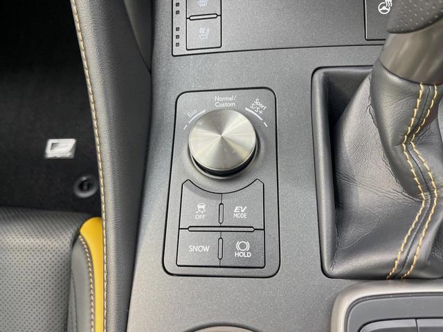 ＲＣ ＲＣ３００ｈ　Ｆスポーツ　黒革　ムーンルーフ　角型３眼フルＬＥＤヘッドランプ　ムーンルーフ　オレンジキャリパー　メーカーＳＤナビ　バックカメラ　プリクラッシュセーフティー　レーダークルーズ　禁煙車　シートベンチレーション（37枚目）