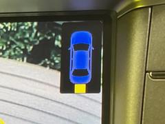 �ڥ��ꥢ��󥹥��ʡ��ۥХ�ѡ����դ������󥵡����㳲ʪ���Ρ�����ε�Υ�˶�Ť��ȥ��顼�ȤǶ����Ƥ���ޤ���������֥��ڡ�����ָ��������¿��Ǥ��͡� 6