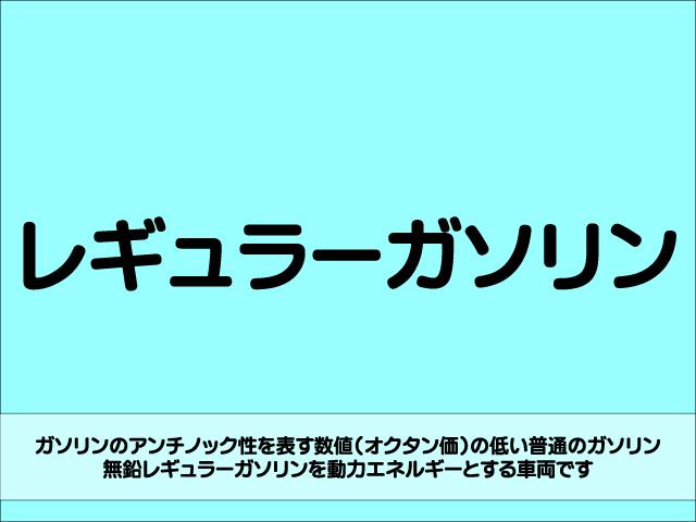 1.6i-L 4WD 5速マニュアル タイミングチェーン フルレザーシート シートヒーター プッシュスタート SDナビ コーナーセンサー 盗難防止装置 横滑り防止装置 サイド・カーテンエアバッグ HID フォグ(54枚目)