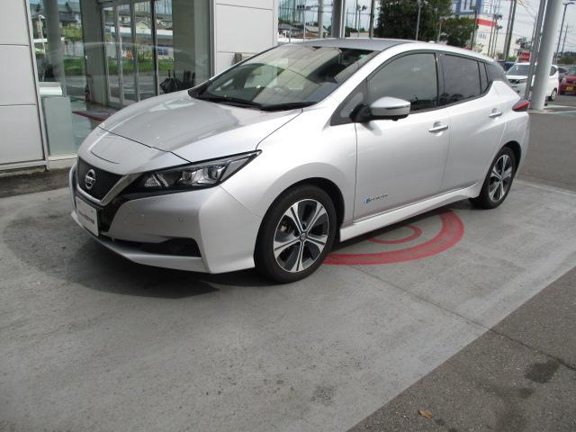 リーフ X Vセレクション プロパイロット ナビ アラウンドビュー レーダークルコン 360°カメラ 踏み間違い防止装置 LEDランプ セキュリティ 1オーナー ETC インテリキー レーンキープアシスト パワーウィンドウ ABS メモリ-ナビ バックカメラ AW(29枚目)