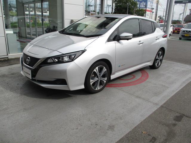 リーフ X Vセレクション プロパイロット ナビ アラウンドビュー レーダークルコン 360°カメラ 踏み間違い防止装置 LEDランプ セキュリティ 1オーナー ETC インテリキー レーンキープアシスト パワーウィンドウ ABS メモリ-ナビ バックカメラ AW(30枚目)