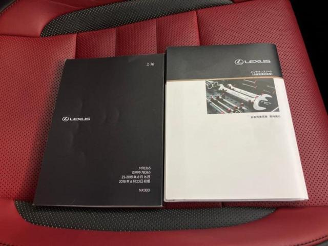 NX NX300Fスポーツ 新品タイヤ/保証書/純正 HDDナビ/衝突安全装置/シートヒーター 前席/車線逸脱防止支援システム/シート フルレザー/パーキングアシスト バックガイド/電動バックドア 革シート 衝突被害軽減システム(34枚目)