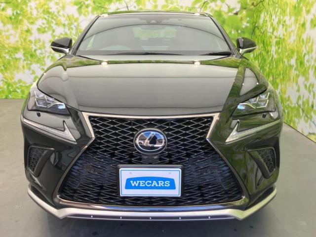 NX NX300Fスポーツ 新品タイヤ/保証書/純正 HDDナビ/衝突安全装置/シートヒーター 前席/車線逸脱防止支援システム/シート フルレザー/パーキングアシスト バックガイド/電動バックドア 革シート 衝突被害軽減システム(45枚目)