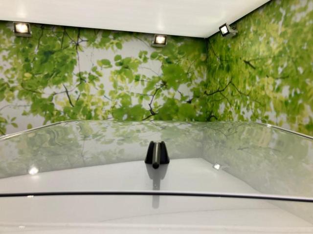 プリウスアルファ Ｓツーリングセレクション・Ｇｓ　新品タイヤ／保証書／純正　８インチ　ＳＤナビ／シート　ハーフレザー／ヘッドランプ　ＬＥＤ／ＥＴＣ／ＥＢＤ付ＡＢＳ／横滑り防止装置／アイドリングストップ／バックモニター／フルセグＴＶ　バックカメラ（47枚目）