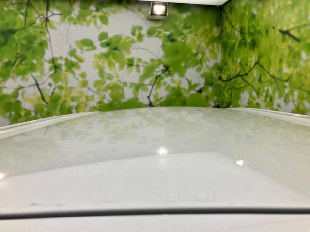 ムーヴキャンバス ストライプスＸ　純正　ＳＤナビ／スマートアシスト（トヨタ・ダイハツ）／両側電動スライドドア／車線逸脱防止支援システム／ＵＳＢジャック／Ｂｌｕｅｔｏｏｔｈ接続／ＥＢＤ付ＡＢＳ／横滑り防止装置／アイドリングストップ（45枚目）