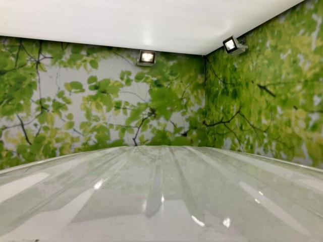 Ｎ－ＢＯＸカスタム Ｌ・ターボスタイルプラスブラック　純正　ＳＤナビ／衝突安全装置／両側電動スライドドア／シートヒーター／車線逸脱防止支援システム／ヘッドランプ　ＬＥＤ／ＥＴＣ／ＥＢＤ付ＡＢＳ／横滑り防止装置／アイドリングストップ／ホンダセンシング（50枚目）