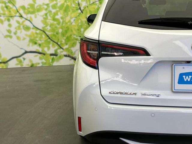 �u���̎Ԃ̎ʐ^�������ƌ������v�u��Ԃ��C�ɂȂ�v�u���̑����͂��Ă���H�v�ǂ�ȏ����ȋ^��ł����C�y�ɂ��₢���킹���������I