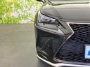 NX300Fスポーツ 新品タイヤ/保証書/純正 HDDナビ/衝突安全装置/シートヒーター 前席/車線逸脱防止支援システム/シート フルレザー/パーキングアシスト バックガイド/電動バックドア 革シート 衝突被害軽減システム(46枚目)