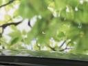 ＷＥＣＡＲＳでは登録（届出）済未使用車や走行距離１万ｋｍ未満の在庫車も多数ご用意しております！状態は良いものが良いけど、新車は高いな・・・そんなお客様にオススメです！