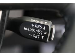 �ץꥦ�� �ӥ����եƥ��ץ饹�ɣ� 0403236A20260130T003 6