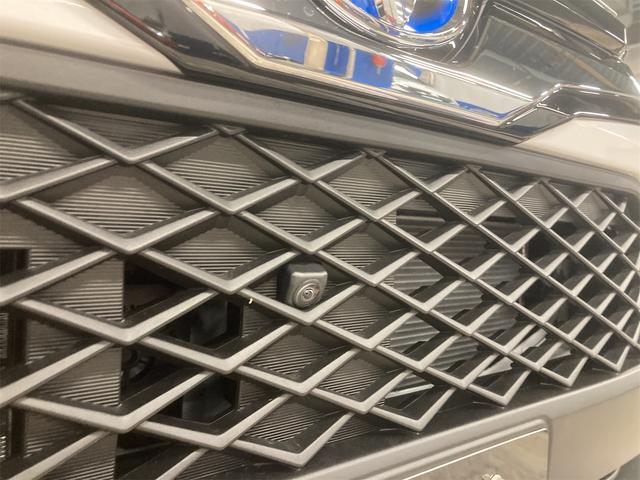 ライズ Z(24枚目)