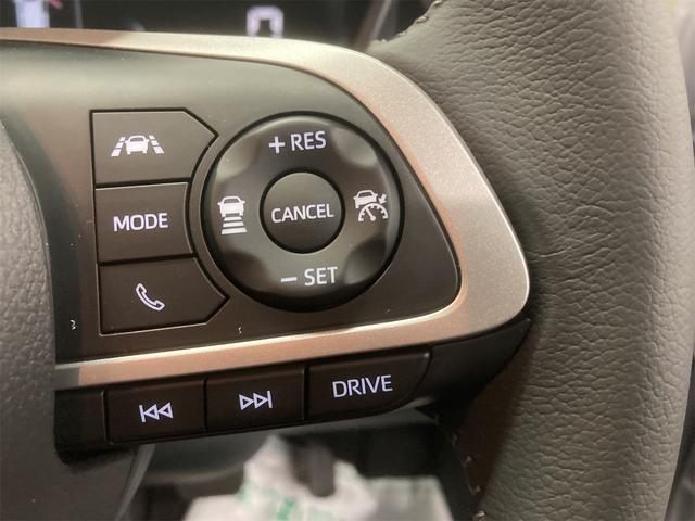 ライズ Z(34枚目)