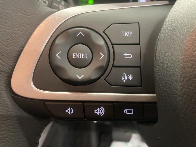 ライズ Z(35枚目)