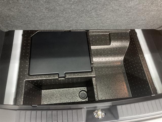 ライズ Z(45枚目)