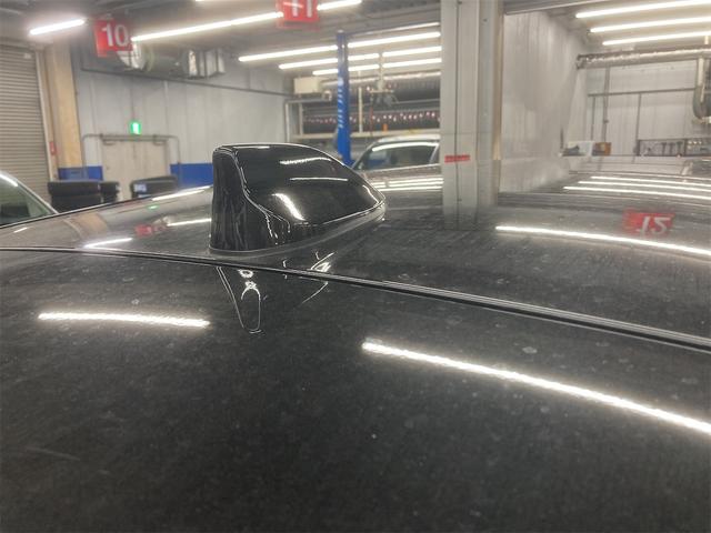 ライズ Z(47枚目)