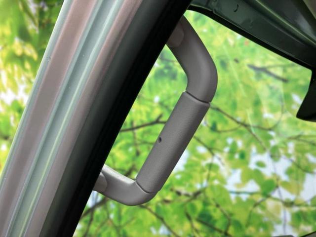 ハイゼットトラック 4WDスタンダードノウヨウスペシャル 保証書/スマートアシスト(トヨタ・ダイハツ)/車線逸脱防止支援システム/届出済未使用車/EBD付ABS/横滑り防止装置/アイドリングストップ/禁煙車/エアバッグ 運転席/パワーステアリング 4WD(30枚目)