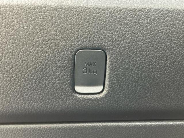 ハイゼットトラック 4WDスタンダードノウヨウスペシャル 保証書/スマートアシスト(トヨタ・ダイハツ)/車線逸脱防止支援システム/届出済未使用車/EBD付ABS/横滑り防止装置/アイドリングストップ/禁煙車/エアバッグ 運転席/パワーステアリング 4WD(33枚目)