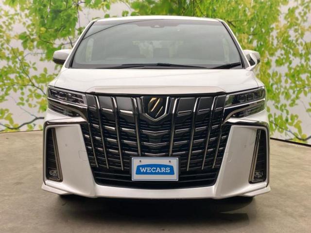 アルファード Ｓタイプゴールド　新品タイヤ／ディスプレイオーディオ＋ナビ９インチ／フリップダウンモニター　純正　１２．１インチ／トヨタセーフティセンス／両側電動スライドドア／車線逸脱防止支援システム／シート　ハーフレザー　ＤＶＤ再生（49枚目）