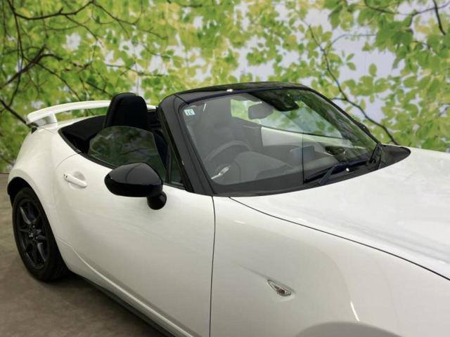 �u���̎Ԃ̎ʐ^�������ƌ������v�u��Ԃ��C�ɂȂ�v�u���̑����͂��Ă���H�v�ǂ�ȏ����ȋ^��ł����C�y�ɂ��₢���킹���������I