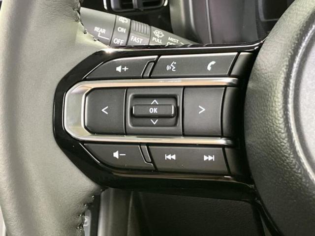 スペーシアギア ハイブリッドＸＺ　保証書／純正　９インチ　ＳＤナビ／セーフティサポート（スズキ）／両側電動スライドドア／シートヒーター　前席／全方位モニター用カメラ／車線逸脱防止支援システム／ヘッドランプ　ＬＥＤ／ＵＳＢジャック（29枚目）