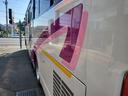 HINO MELPHA