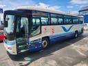 HINO SELEGA