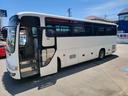 HINO MELPHA