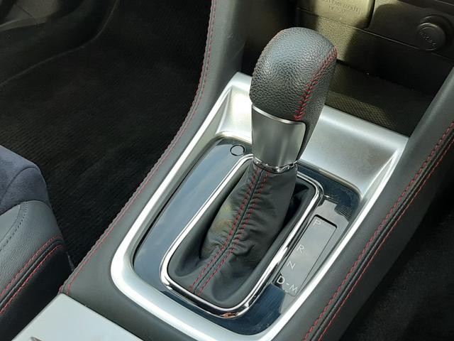 ＷＲＸ Ｓ４ ２．０ＧＴ－Ｓアイサイト　大型リアウイング　純正ＯＰナビ　アドヴァンスドセイフティパッケージ　アイサイトアシストモニター　禁煙車　ハーフレザーパワーシート　ＥＴＣ　サイド／バックカメラ　前後ソナー　レーダークルーズ　ＢＳＭ（29枚目）