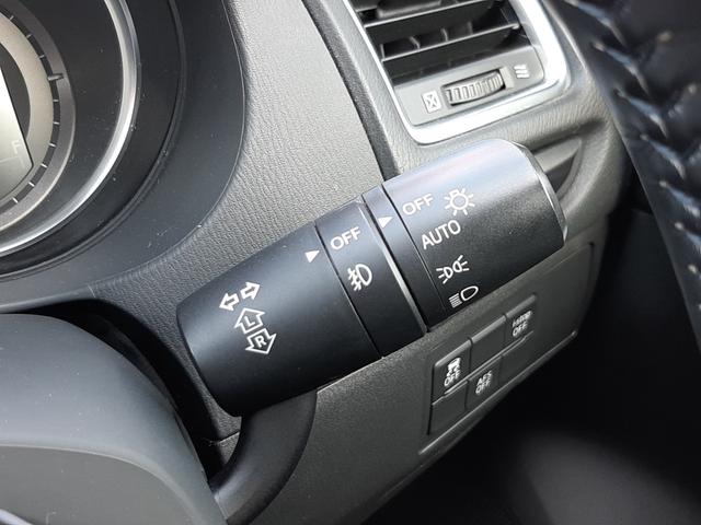 アテンザワゴン ＸＤ　６速ＭＴ　純正ナビ　バックモニター　ビルトインＥＴＣ　ＨＩＤオートライト　デュアルオートエアコン　フォグランプ　クルーズコントロール　ルーフレール　純正１９ｉｎアルミ　ドライブレコーダー（32枚目）