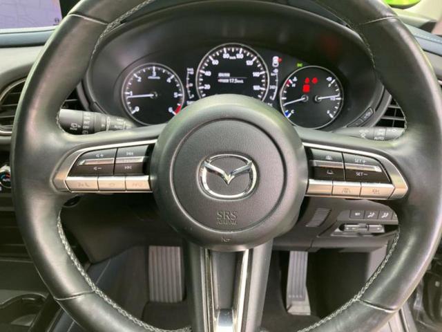 ＣＸ－３０ ＸＤプロアクティブツーリングセレクション　保証書／純正　ＳＤナビ／アイアクティブセンス（マツダ）／シートヒーター　前席／３６０°ビューモニター／車線逸脱防止支援システム／電動バックドア／ドライブレコーダー　前後／ヘッドランプ　ＬＥＤ　ドラレコ（15枚目）